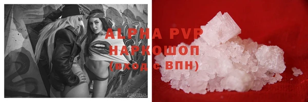 ПСИЛОЦИБИНОВЫЕ ГРИБЫ Гусев