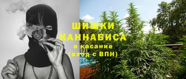 ПСИЛОЦИБИНОВЫЕ ГРИБЫ Гусев