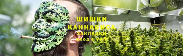 дмт Гусь-Хрустальный