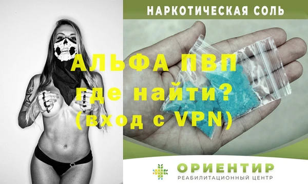 ПСИЛОЦИБИНОВЫЕ ГРИБЫ Гусев