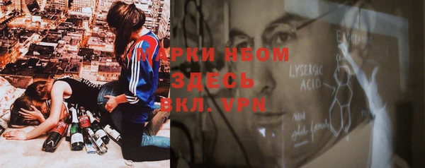 ПСИЛОЦИБИНОВЫЕ ГРИБЫ Гусев