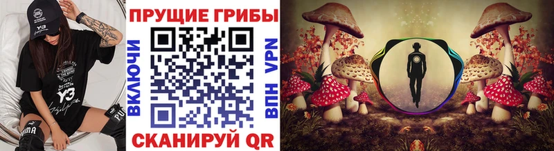 Купить где  Назарово  Галлюциногенные грибы Cubensis 
